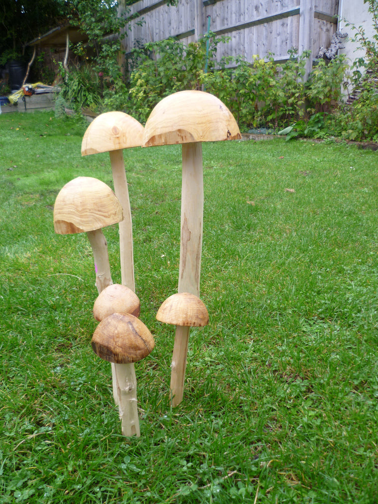 Small Wooden garden Mushrooms toadstools